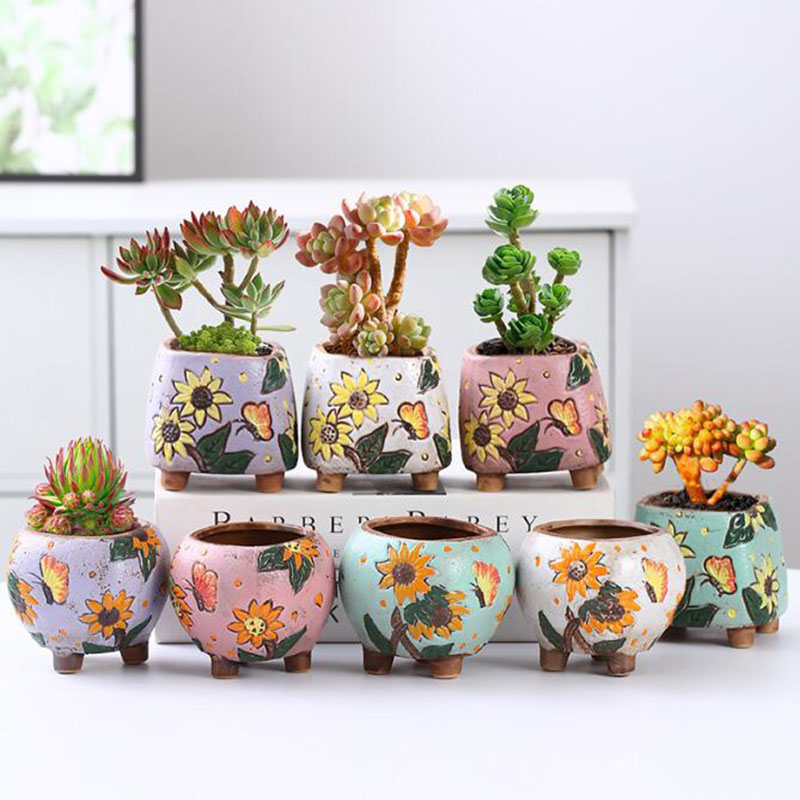 Korean Style Sunflower Pattern - Echeveria Succulent ulasan dan harga