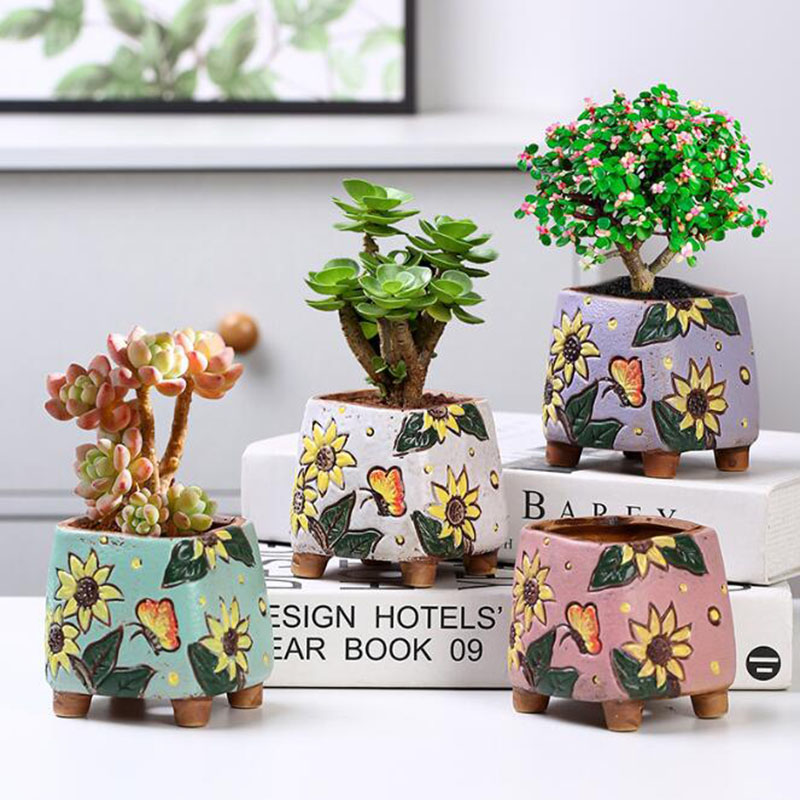 Korean Style Sunflower Pattern - Echeveria Succulent ulasan dan harga