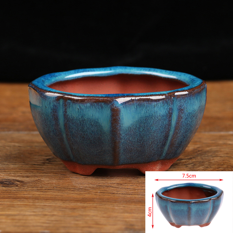 1pcs Bonsai Mini Ceramic Flowe - Echeveria Succulent ulasan dan harga