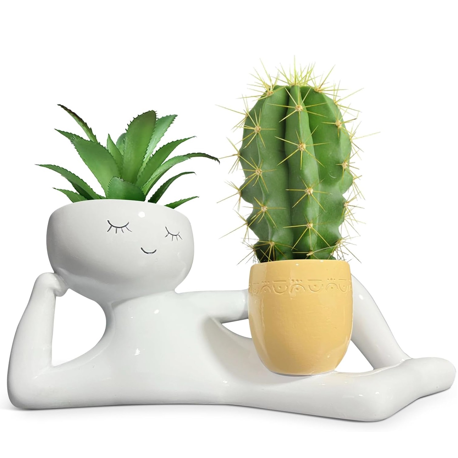 Lazy Little Guy Planter Unique - Echeveria Succulent ulasan dan harga