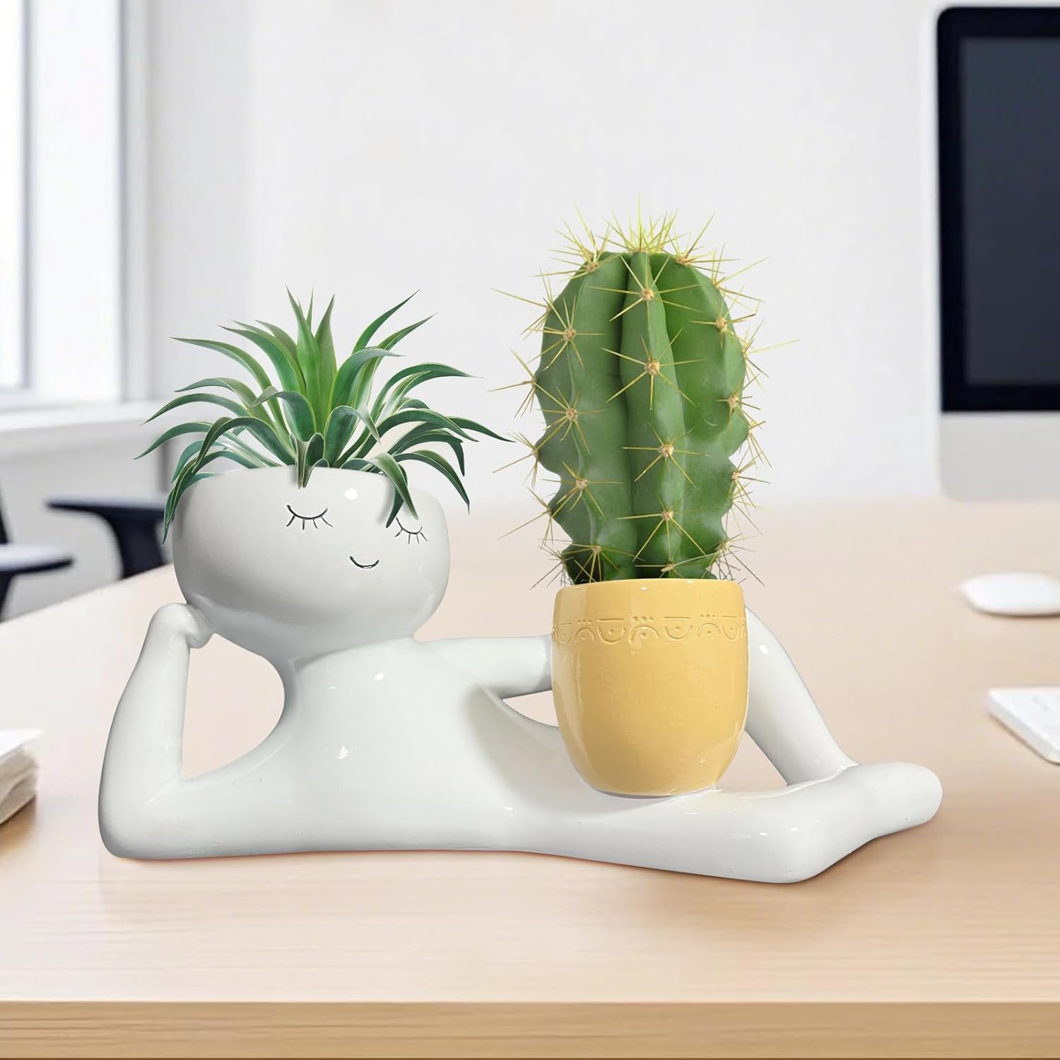 Lazy Little Guy Planter Unique - Echeveria Succulent ulasan dan harga