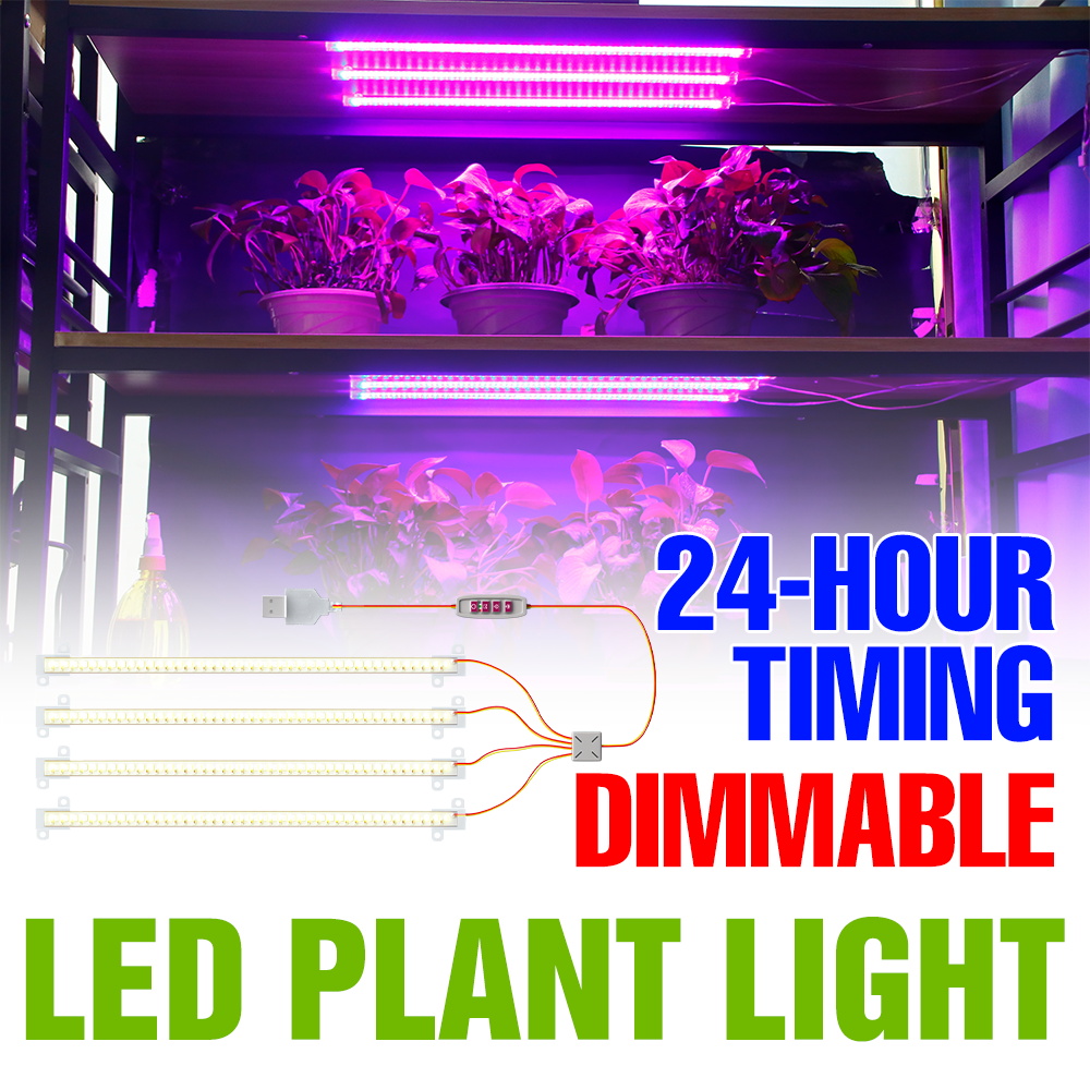 LED Indoor Plant Light Bar USB - Echeveria Succulent ulasan dan harga