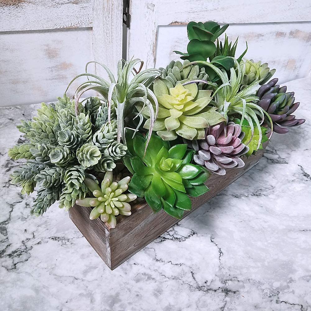 15 Pack Assorted Artificial Su - Echeveria Succulent ulasan dan harga